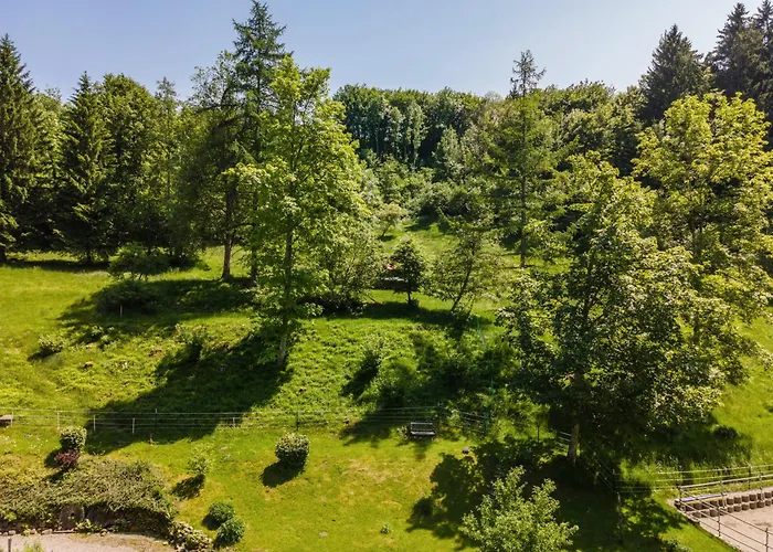 דירה Balzerberg ויילר-זימרברג